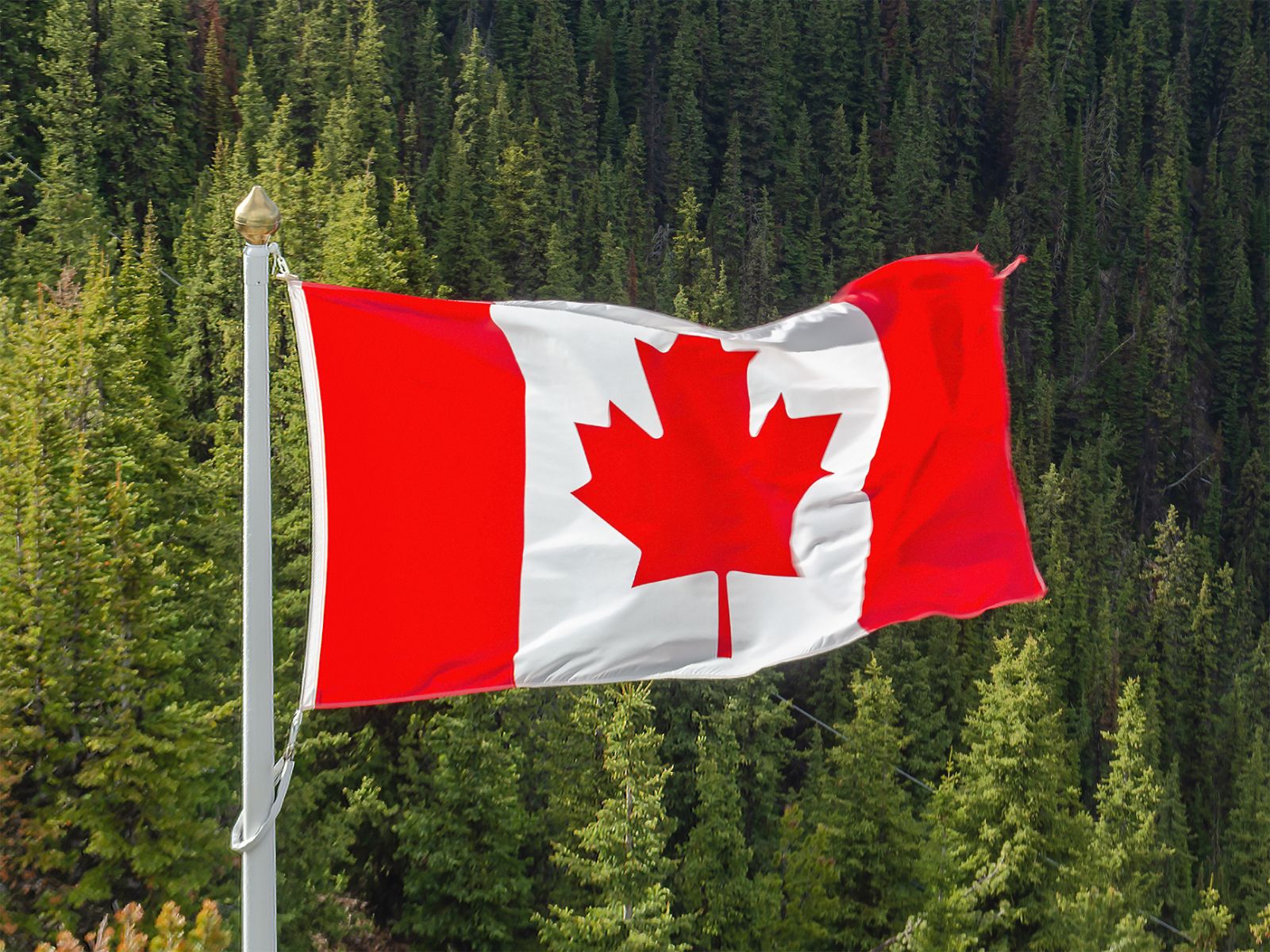 Alberta bo ostala del Kanade