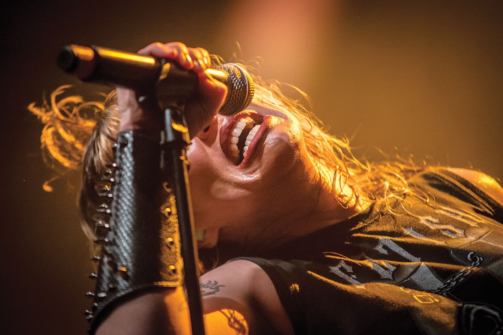 Split Dogs (Ang), CUK Kino Šiška, LJ | Sebastijan Iskra