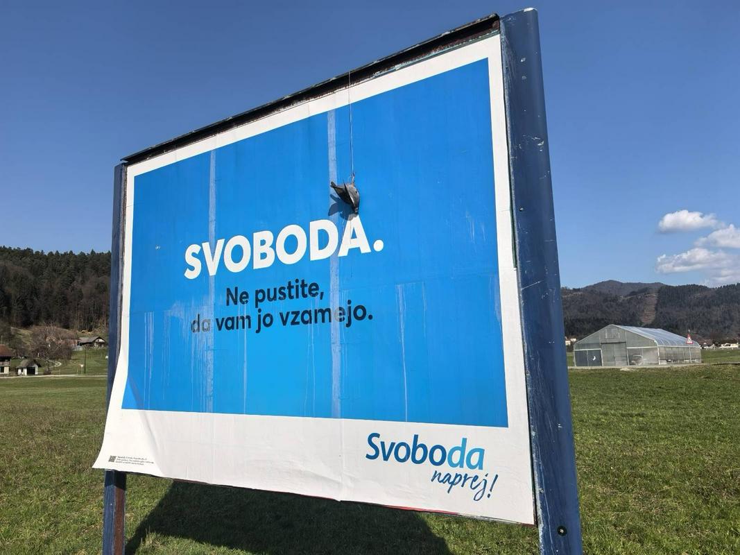 Ponovno se je na plakatu Svobode pojavilo obešeno truplo živali.