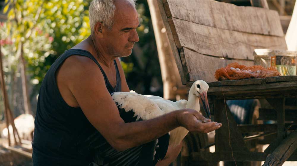 Prizor iz filma Povest o Siljanu