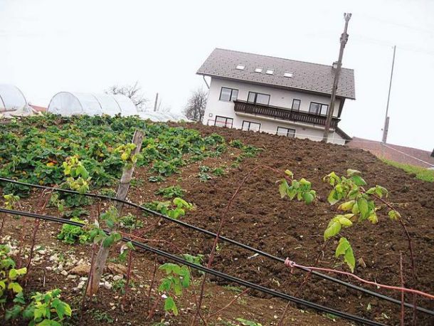 Izletniški turizem Okorn, Pristava nad Stično
