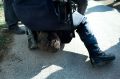 Člani gibanja 15o so skušali preprečiti deložacijo hiše Vaskrsićevih. Ob tem je policija prisilno odstranila okoli 20 članov gibanja.
