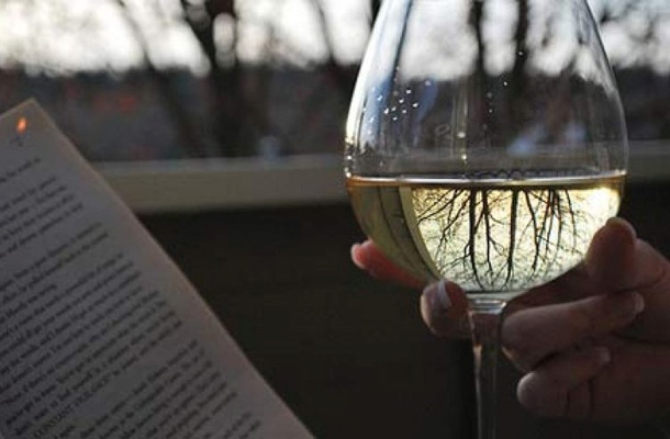 Festival združuje branje poezije, pogovore o njej in pogovore s pesniki ter vinski program.