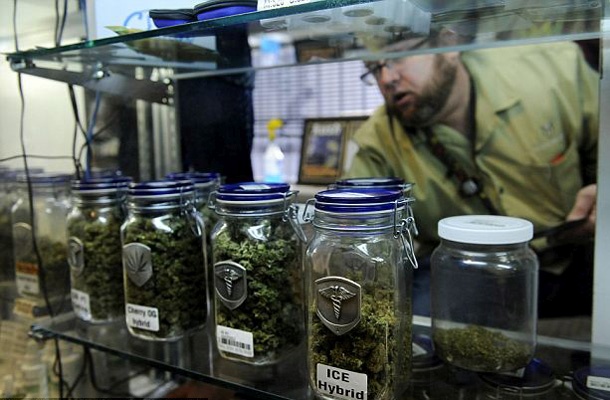 Kolorado in Washington sta kot prvi ameriški zvezni državi v letu 2013 legalizirali marihuano. Letos jima utegne slediti Aljaska.