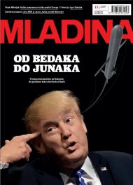 Mladina 15 | 2017