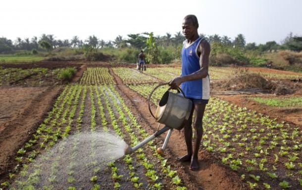 V sistem caporalata se večinoma ujamejo migranti iz severne Afrike, Balkana in vzhodne Evrope ter Azije, seveda pa med žrtvami najdemo tudi Italijane