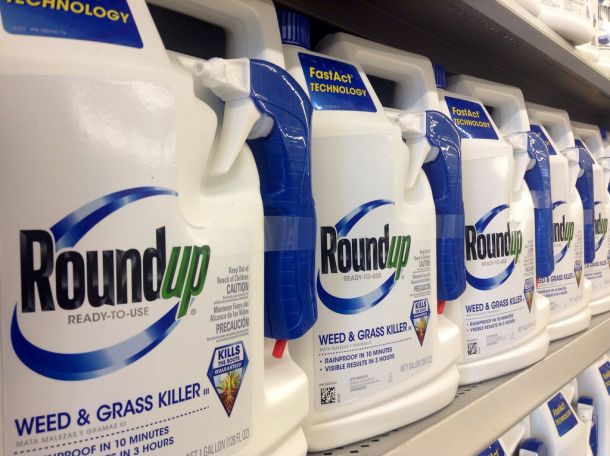 Monsantov herbicid Roundup, ki vsebuje sporni glifosat