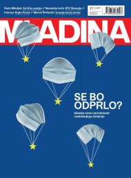 Mladina 17 | 2020