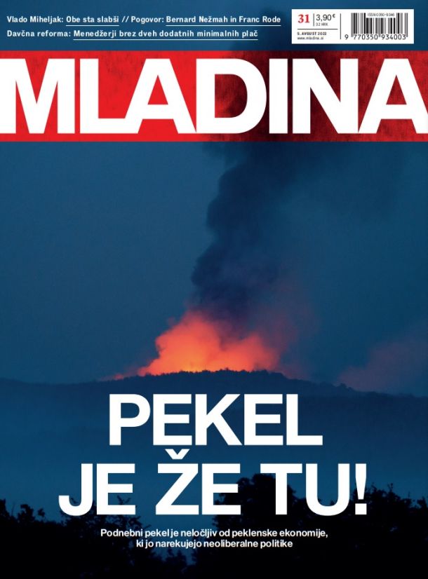 Mladina 29 | 2019