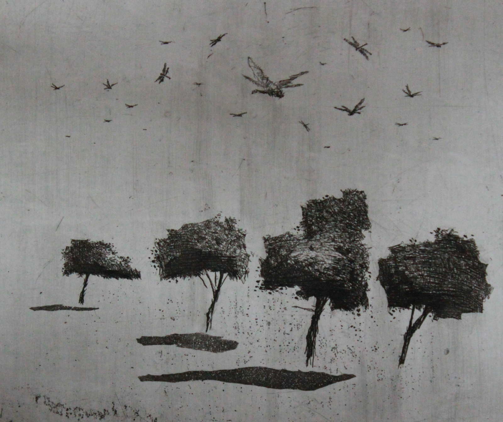 Nebo so prekrili kačji pastirji (2010)