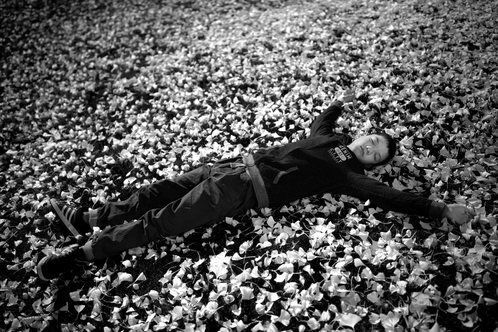 Tomaž Lipicer: V njegovem svetu (2016)