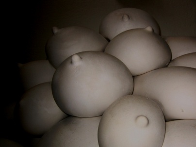 Brina Ivanetič: Izliv II