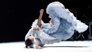 V ritmih flamenka