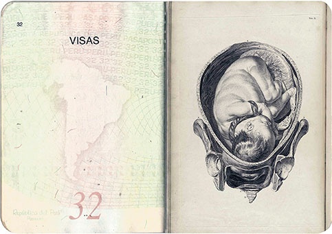 Daniela Ortiz: Jus Sanguinis, 2016