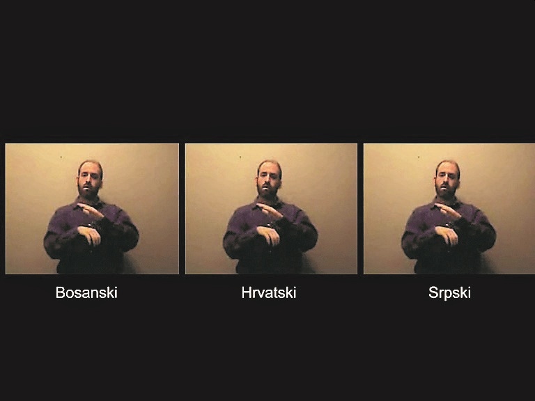 Igor Bošnjak: BHS (2010)