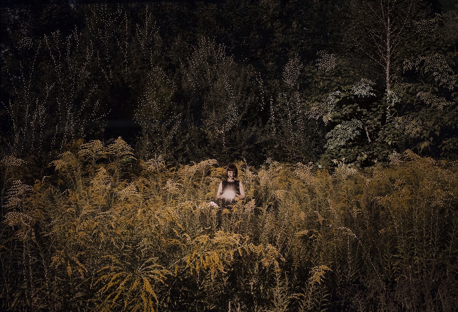 Špela Škulj: We reflect light (2017)