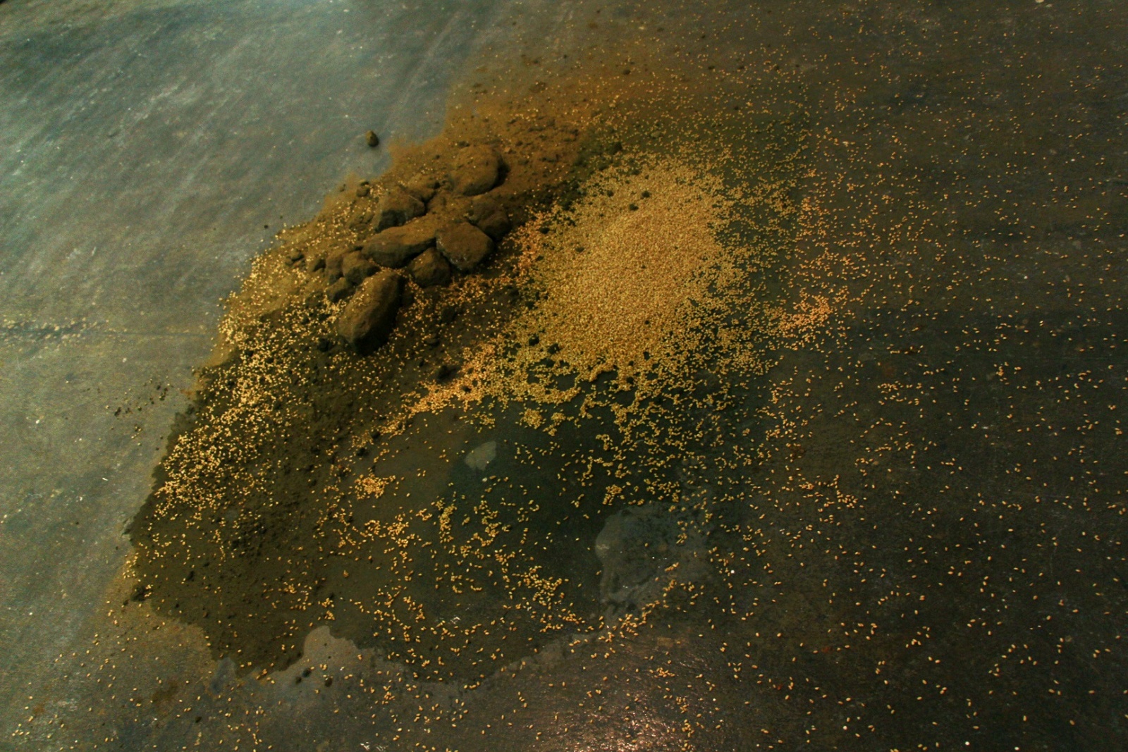 Shatha Al-Deghady: Oops, 2016, 