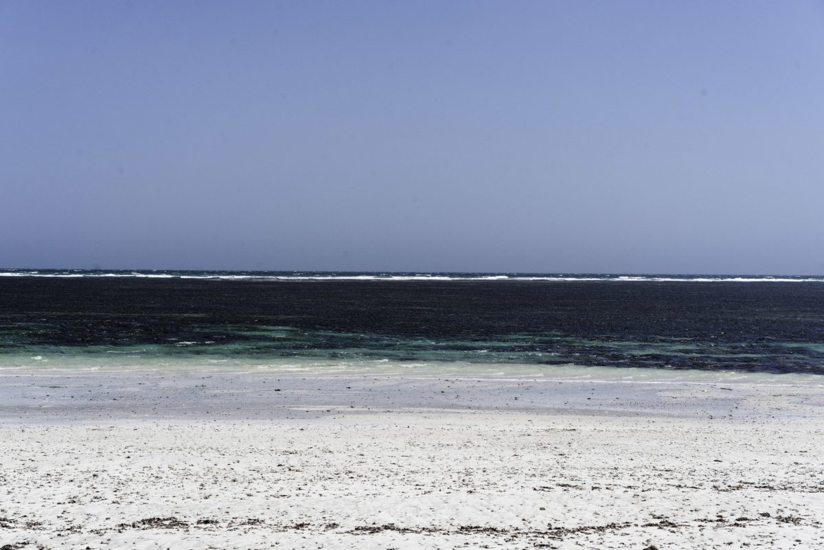 Louis-Cyprien Rials, Brez naslova (Mogadish, Somalia), 2019. Z dovoljenjem umetnika in Galerije Eric Mouchet, Pariz
